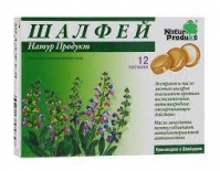 Шалфей пастилки №12